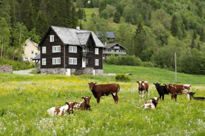 Hotels in Evanger